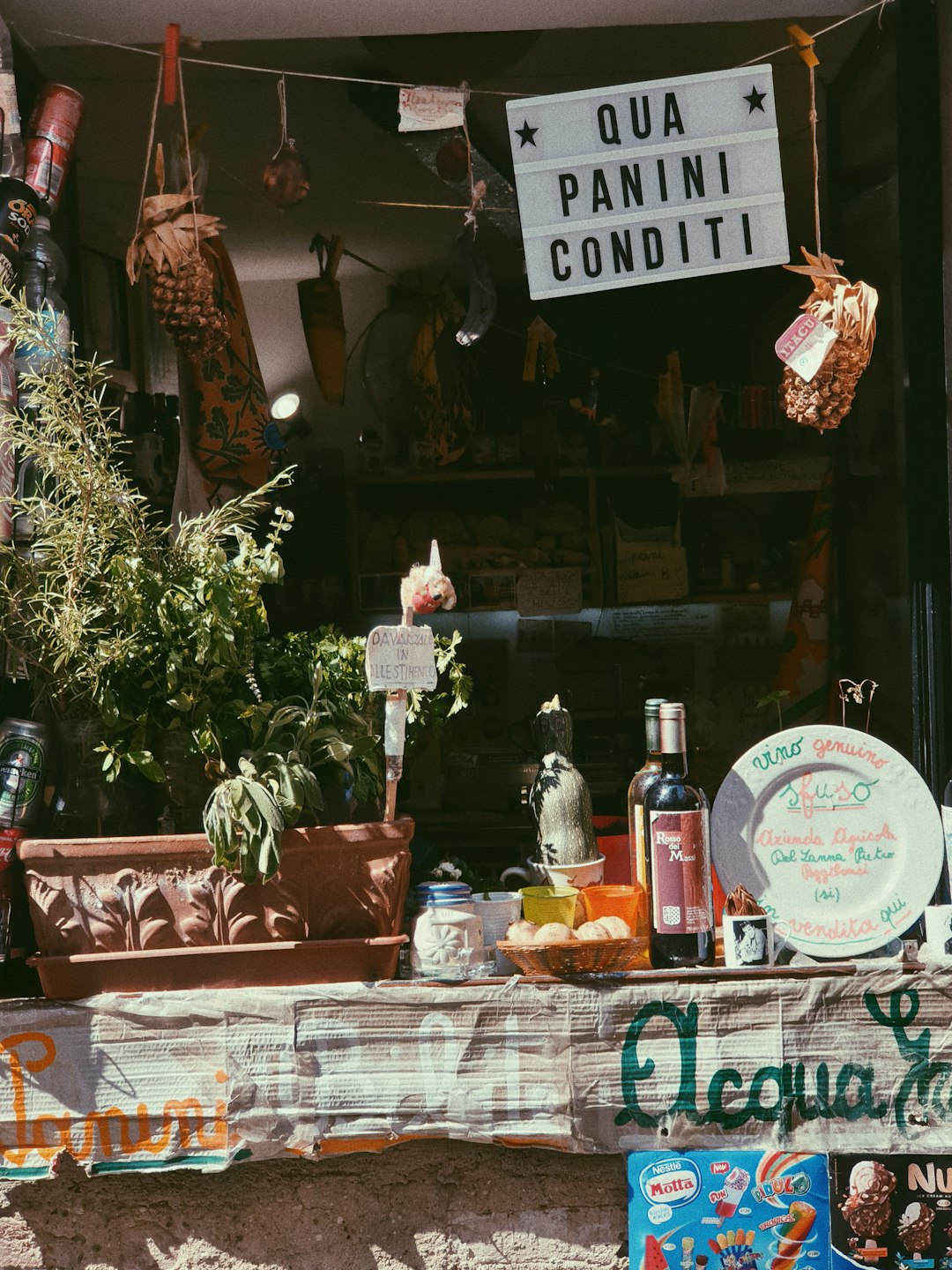 gallery-02 a-store-window-with-a-christmas-tree-and-a-sign-uhuljadjvs0